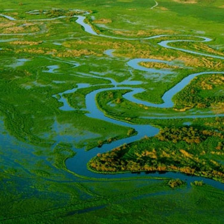 PODLASIE