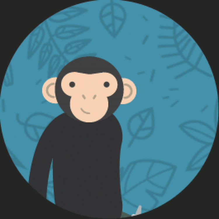Chimp and See