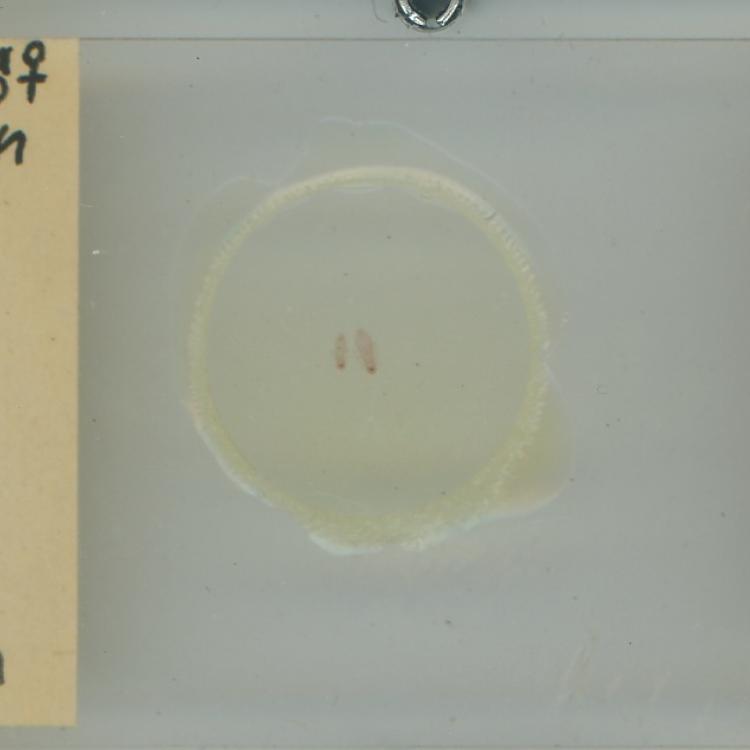 Notes from Nature - Terrestrial Parasite Tracker