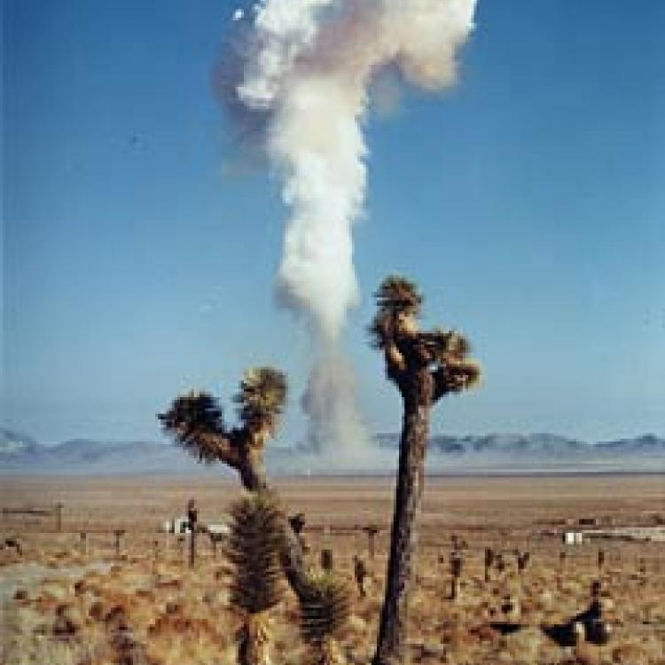 Nevada