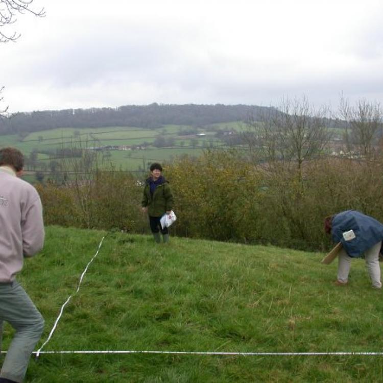 devon archaeological society