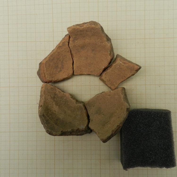 CARPETANIA RUSTICA