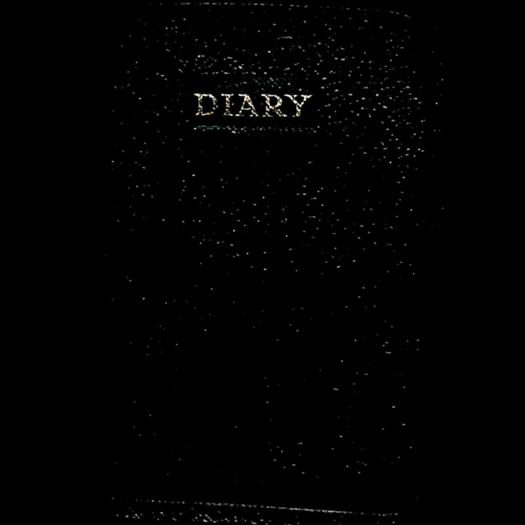 20th Century Diaries