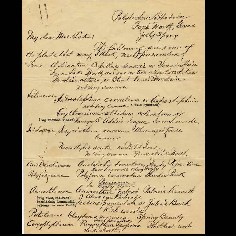 Albert Ruth Papers