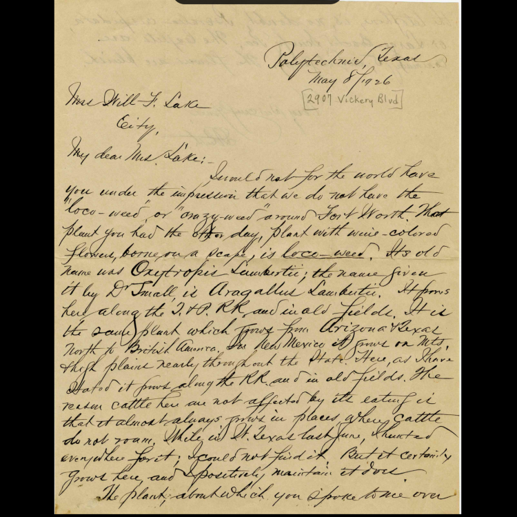 Albert Ruth Papers