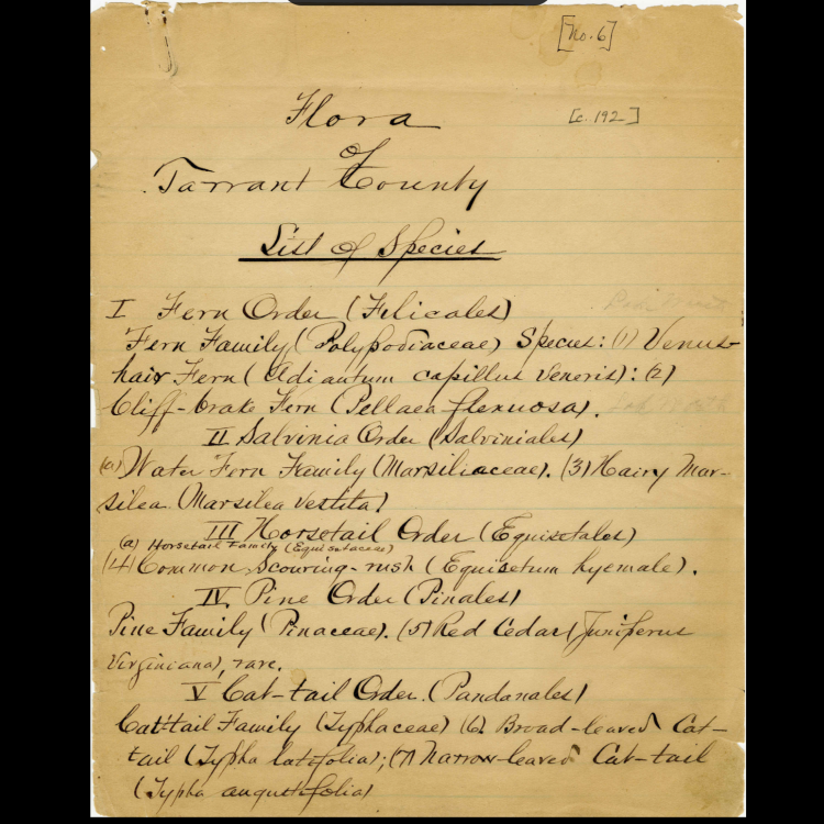 Albert Ruth Papers