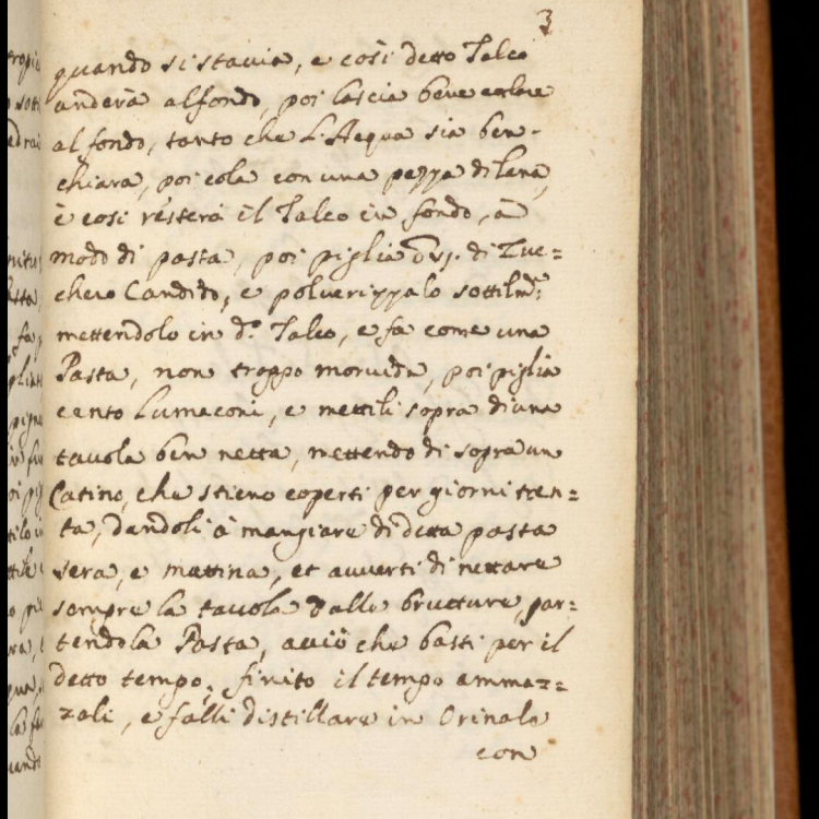 Early modern recipe books
