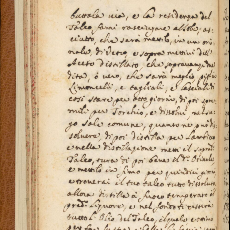 Early modern recipe books