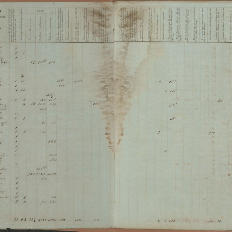 Florida County Tax Rolls, 1851 through 1855
