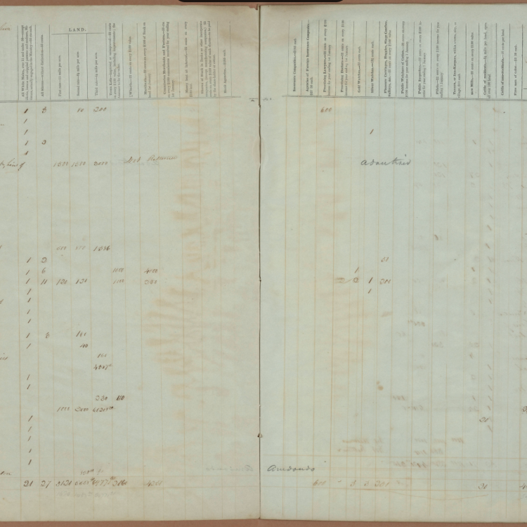 Florida County Tax Rolls, 1849 and 1850