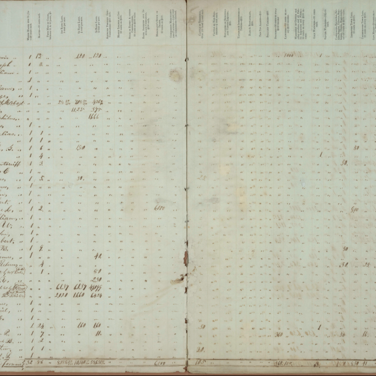 Florida County Tax Rolls, 1846 and 1847
