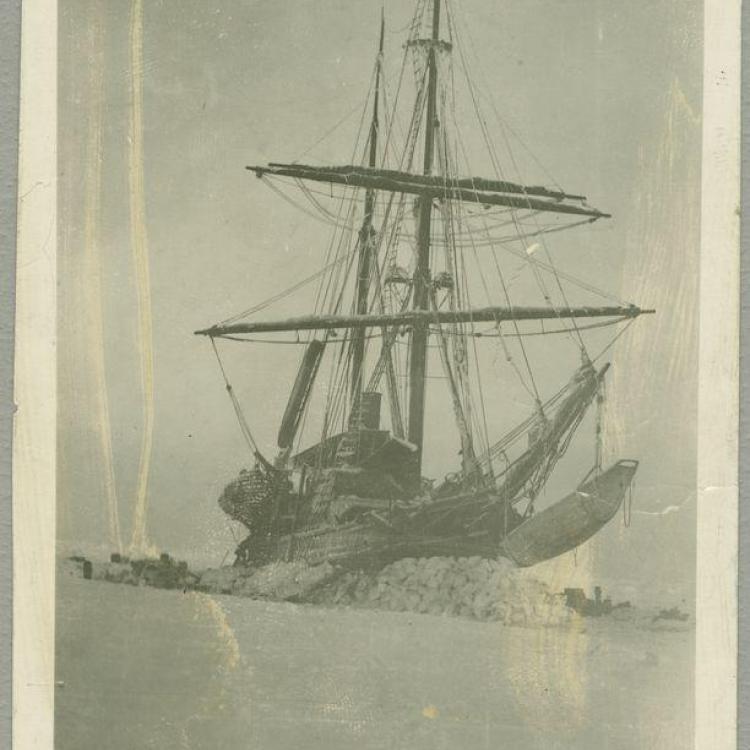 Wrangel Island