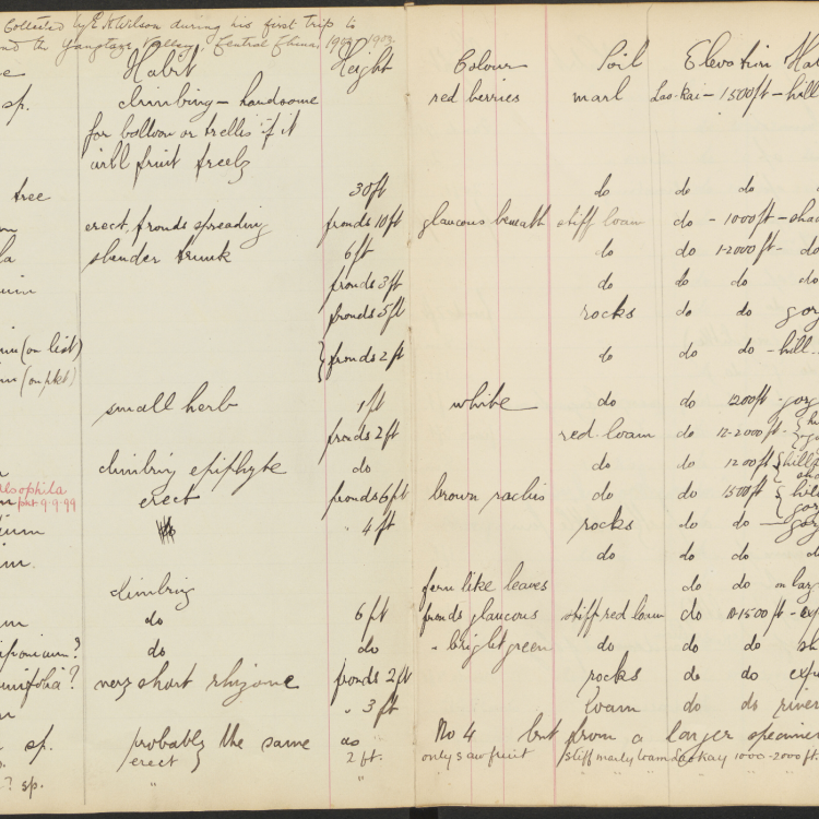 Arnold Arboretum Horticultural Library: Field Collection Books: Veitch