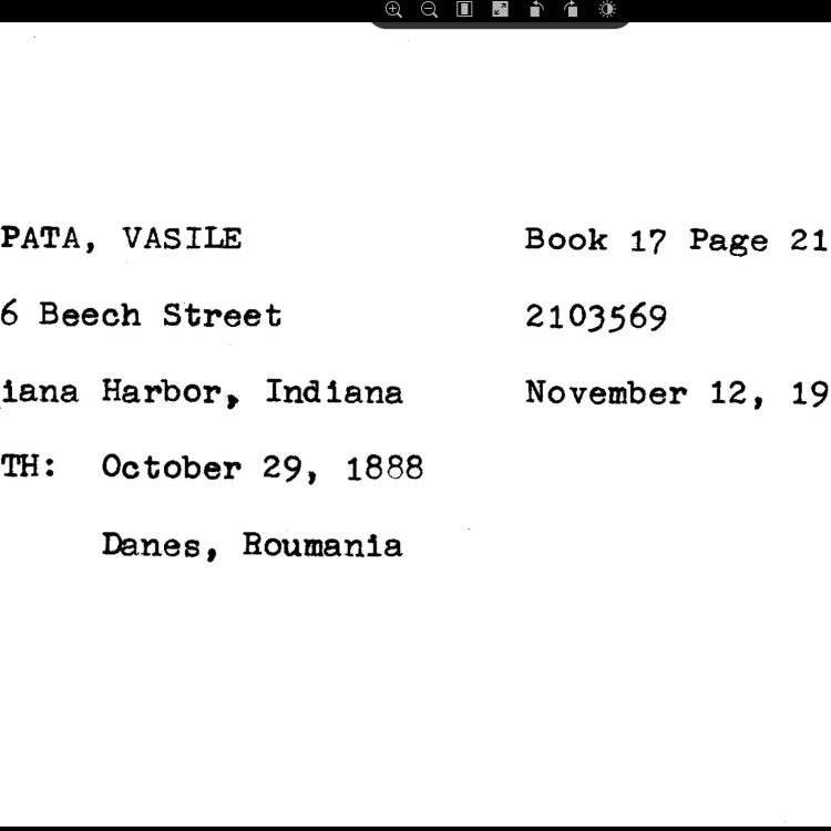 Lake County Naturalization Records