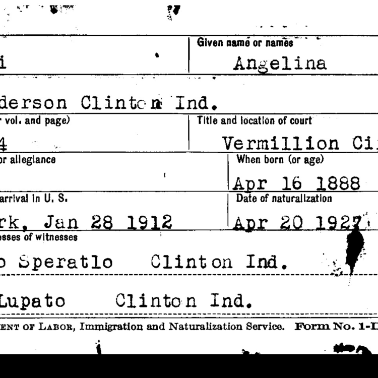 Vermillion County Naturalization Records