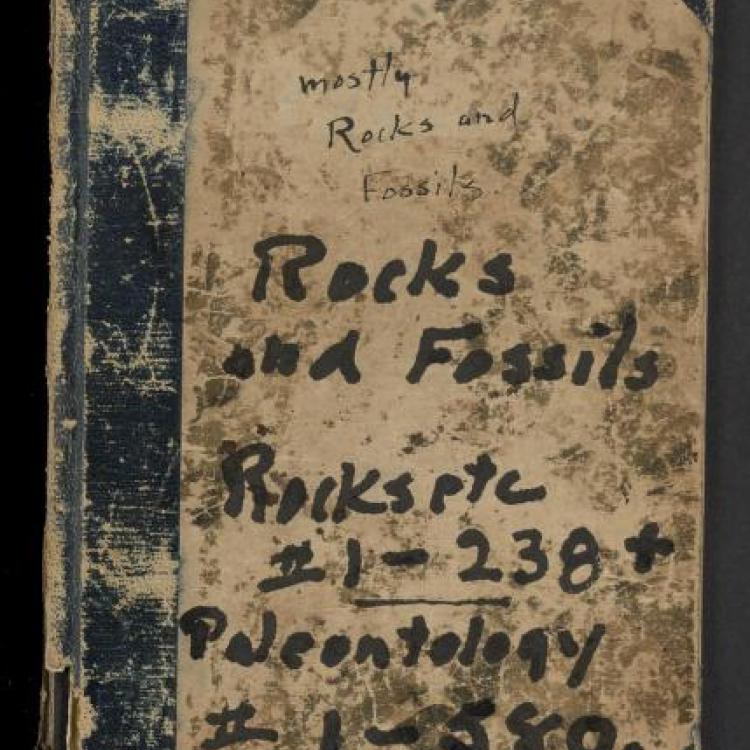 19th Century Scientific Catalogs - Geology & Palentology