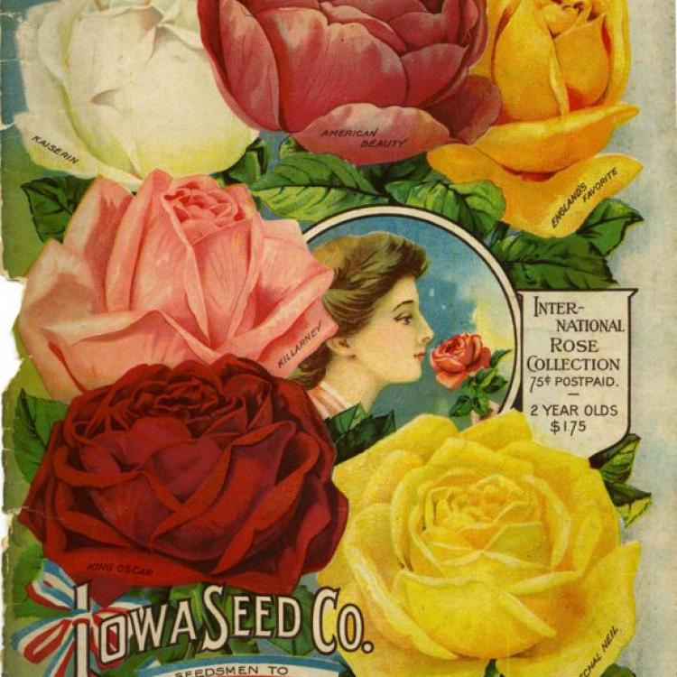 Iowa Seed Catalogs