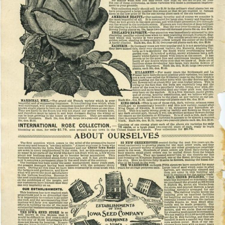 Iowa Seed Catalogs
