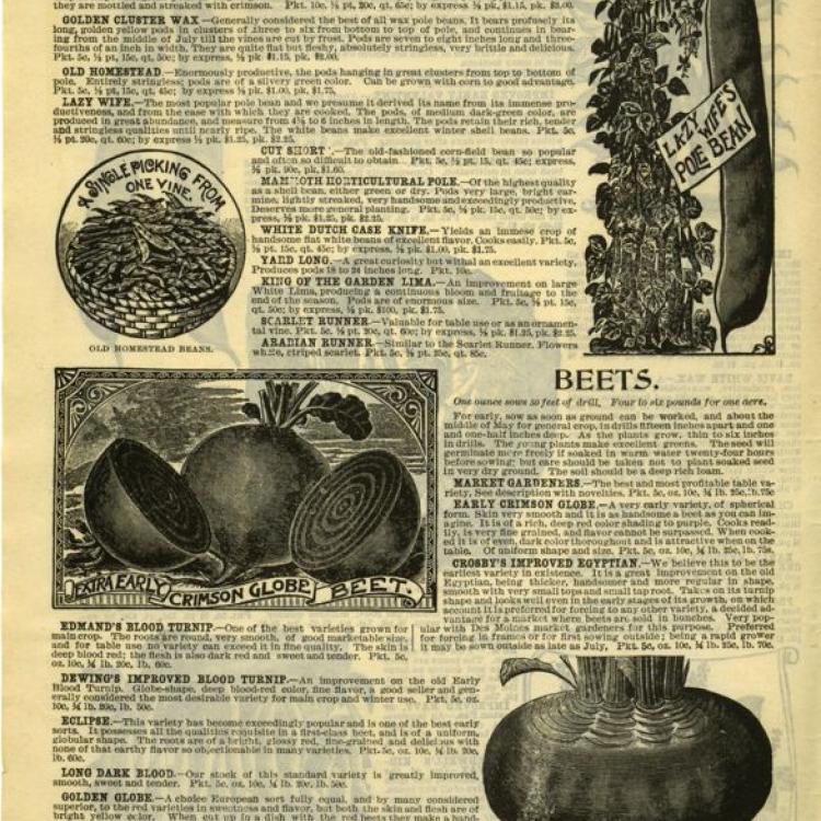 Iowa Seed Catalogs